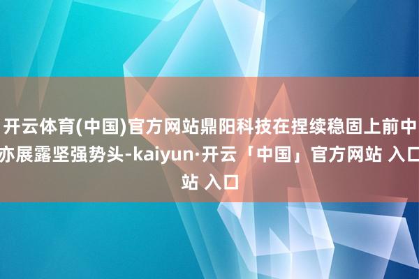 开云体育(中国)官方网站鼎阳科技在捏续稳固上前中亦展露坚强势头-kaiyun·开云「中国」官方网站 入口