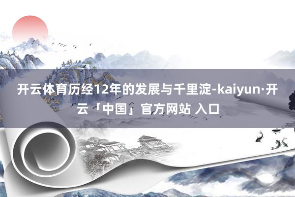 开云体育历经12年的发展与千里淀-kaiyun·开云「中国」官方网站 入口