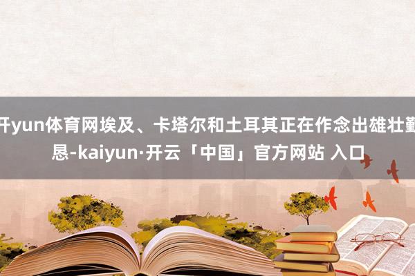 开yun体育网埃及、卡塔尔和土耳其正在作念出雄壮勤恳-kaiyun·开云「中国」官方网站 入口